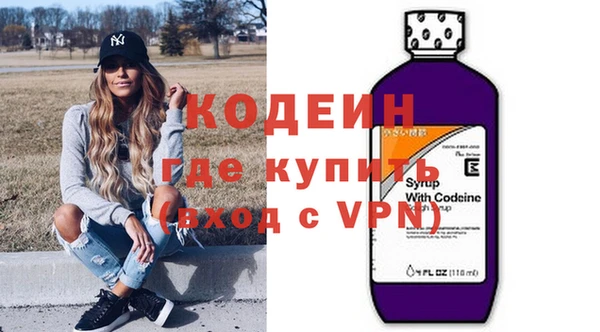 индика Новокубанск