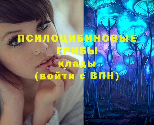 PSILOCYBIN Алексин