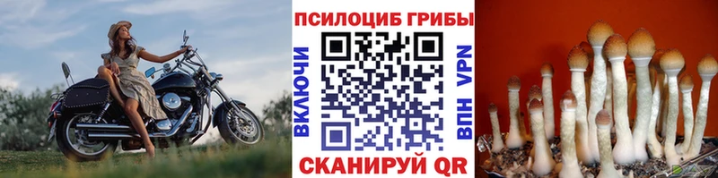 Галлюциногенные грибы ЛСД  купить наркотик  Соликамск 